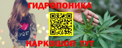 a pvp Краснознаменск