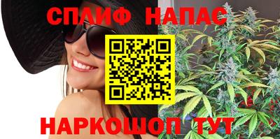 a pvp Краснознаменск