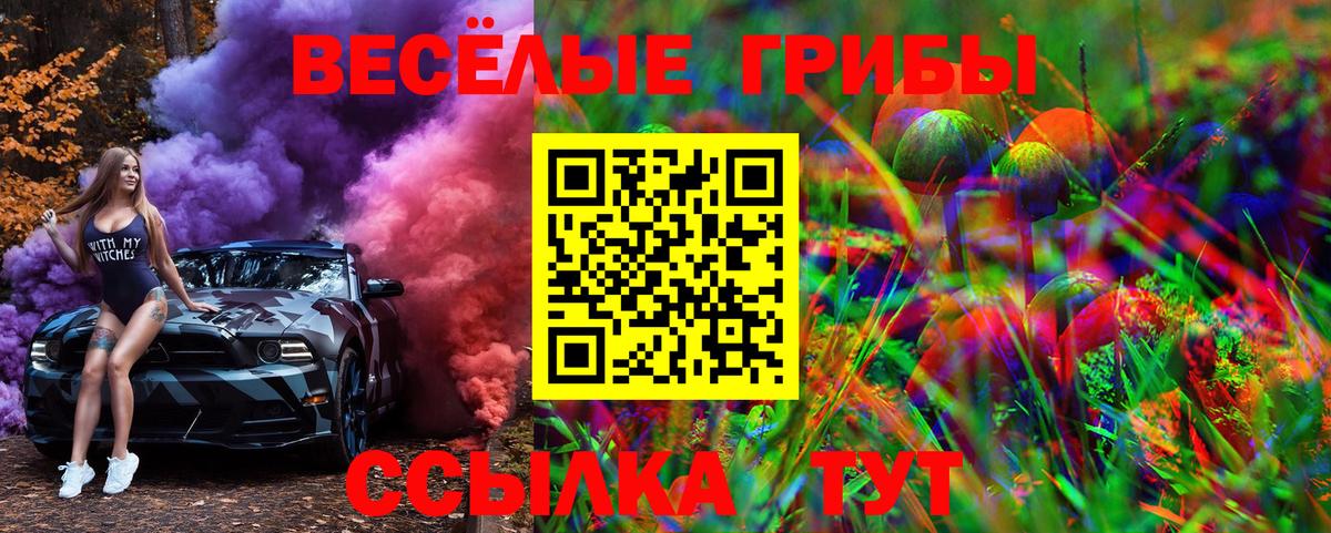Псилоцибиновые грибы Cubensis  Вход с VPN  Ишим  Галлюциногенные грибы мицелий 